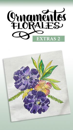 Extras 2