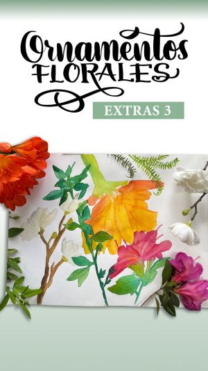 Extras 3