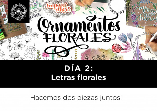 DIA 2